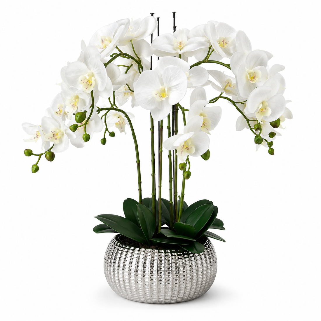 Elegant Real Touch Large Six Stem Butterfly Potted Orchid in Decorative Silver Ceramic Pot (65cm) - A1044
