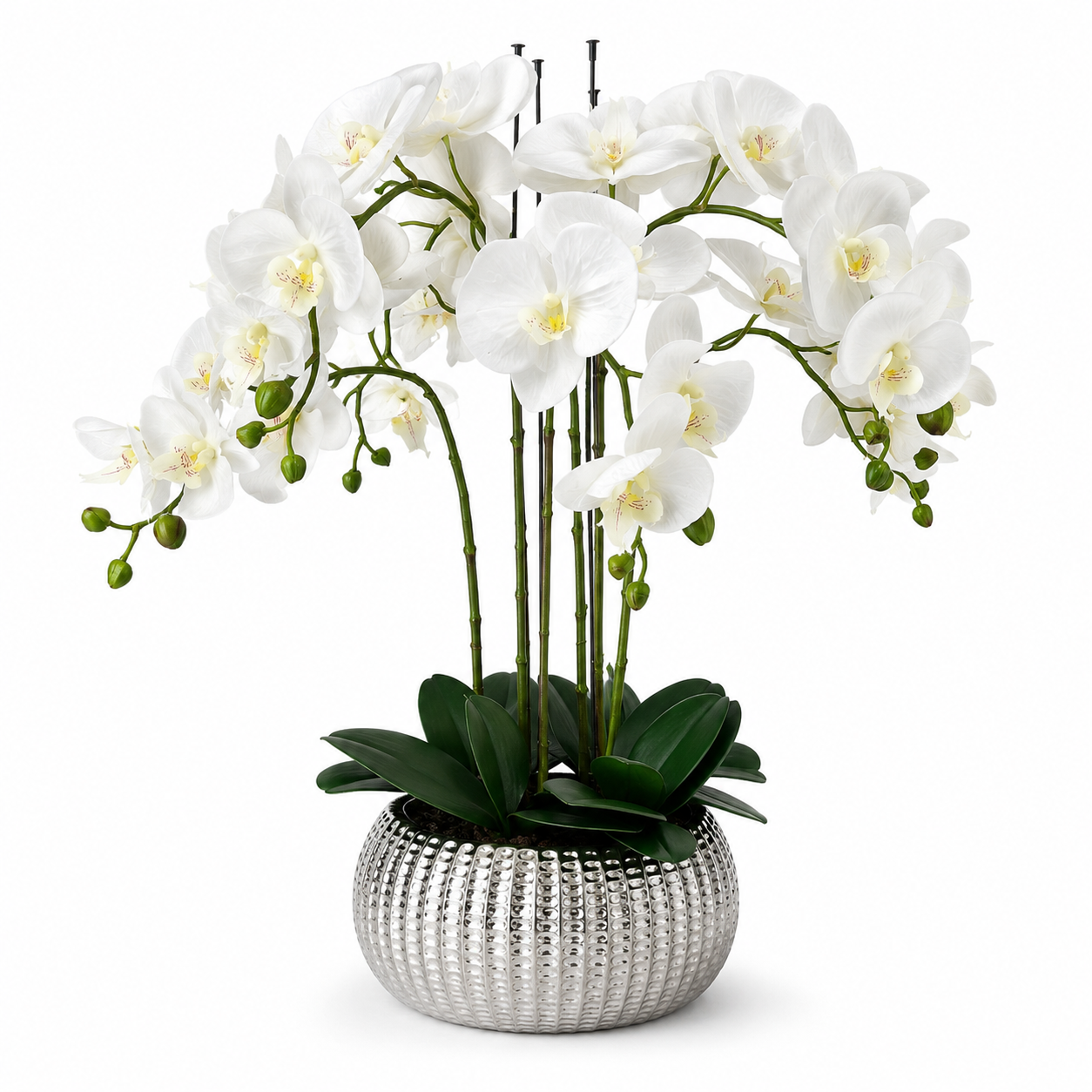 Elegant Real Touch Large Six Stem Butterfly Potted Orchid in Decorative Silver Ceramic Pot (65cm) - A1044