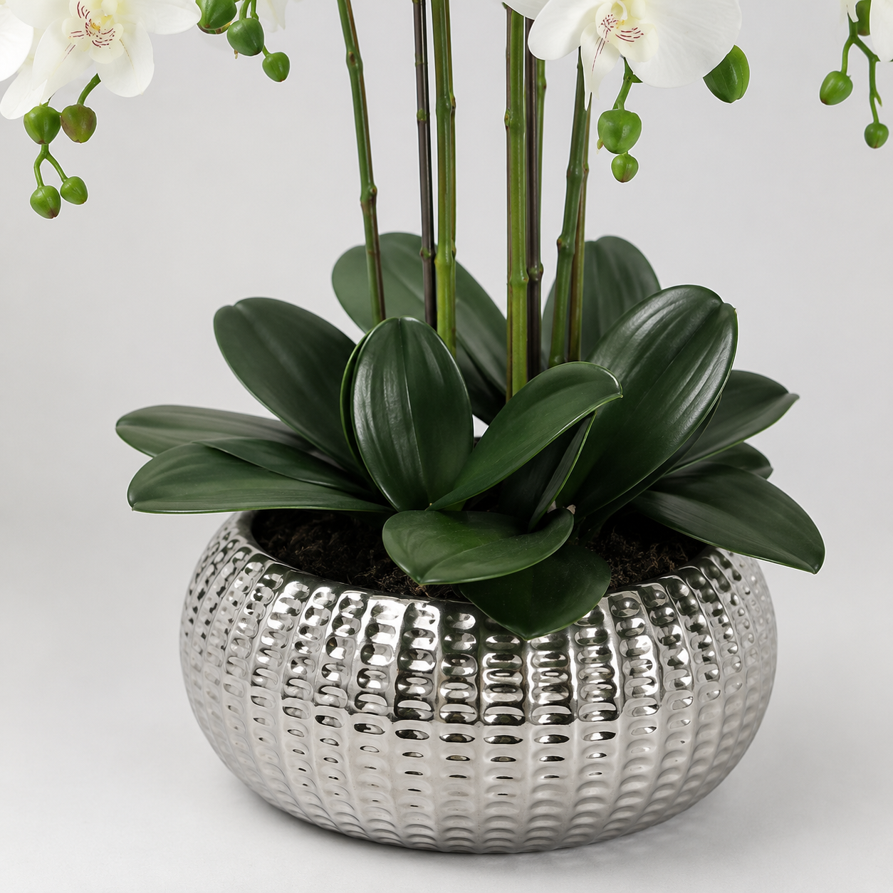 Elegant Real Touch Large Six Stem Butterfly Potted Orchid in Decorative Silver Ceramic Pot (65cm) - A1044