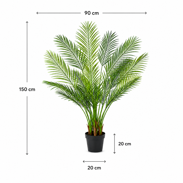 Large Areca Palm Tree in Black Pot 150cm/5ft - A1045