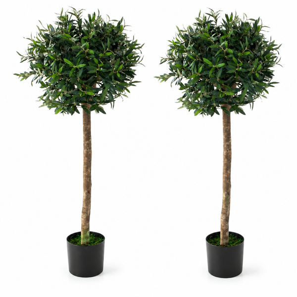 Olive Trees (Set of 2) 4ft/120 cm -  With Real Wood Trunk, Premium Quality & Natural Appearance - A1046