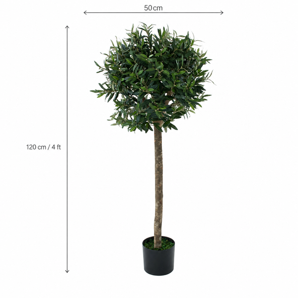 Olive Trees (Set of 2) 4ft/120 cm -  With Real Wood Trunk, Premium Quality & Natural Appearance - A1046