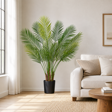 Areca Palm Tree in Black Pot 130cm/4ft - A1047
