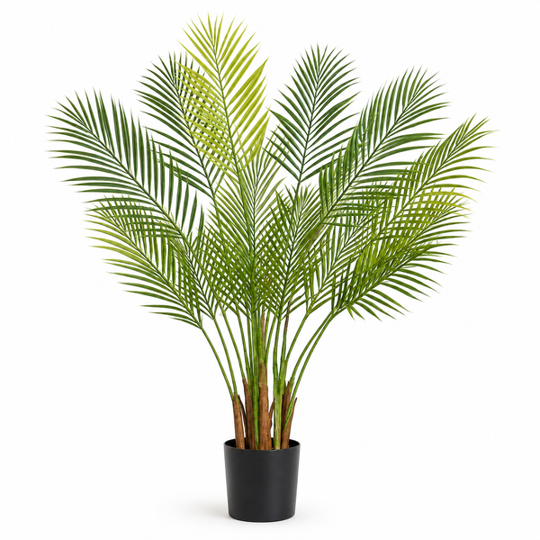 Areca Palm Tree in Black Pot 130cm/4ft - A1047