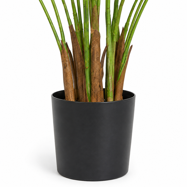 Areca Palm Tree in Black Pot 130cm/4ft - A1047