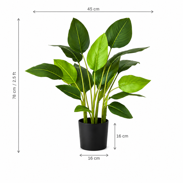 Real Touch Bird of Paradise Plant (78cm/2.5ft) - A1048