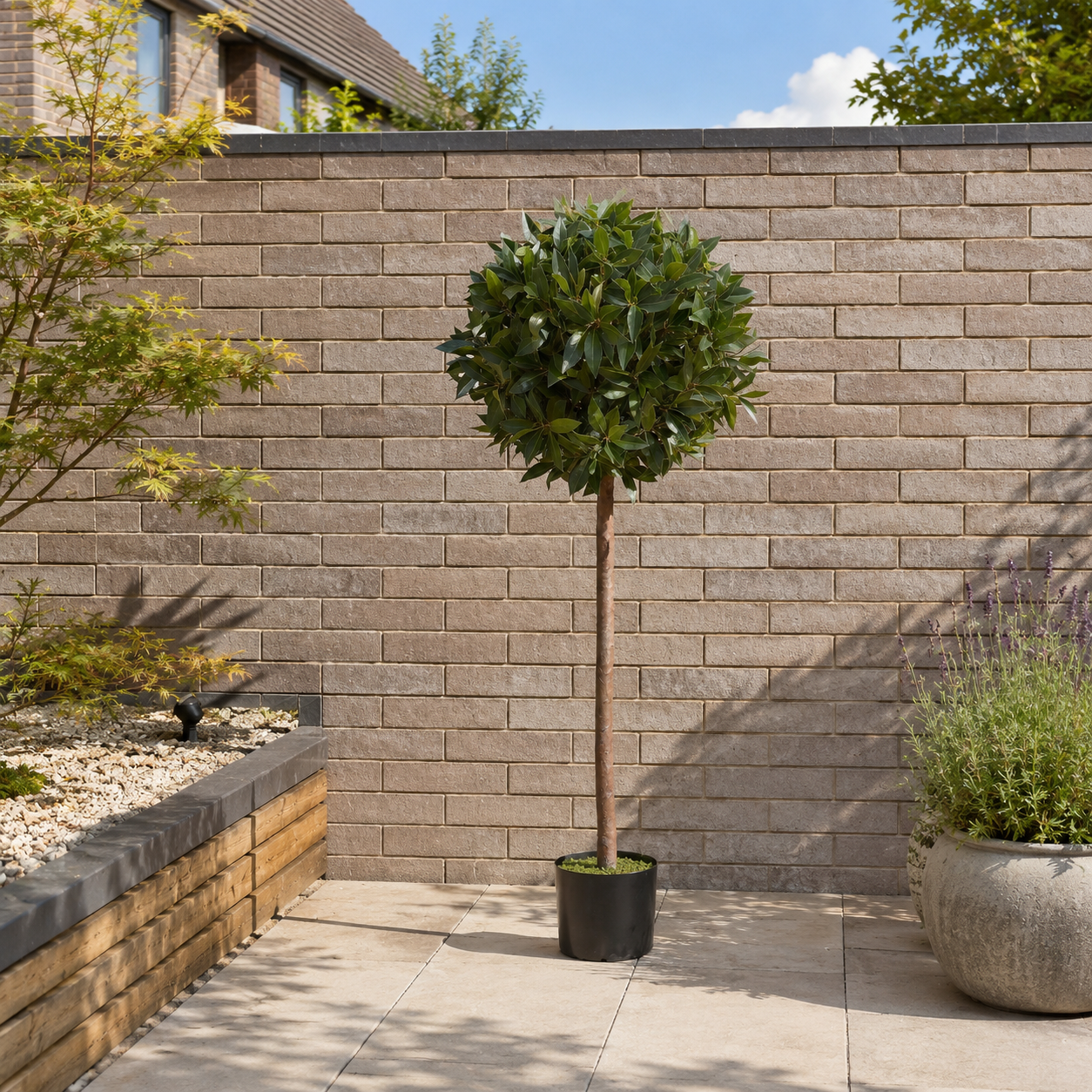 Bay Tree 5ft/154 cm - With Real Wood Trunk, Natural Leaf and Brown Berries - A1058