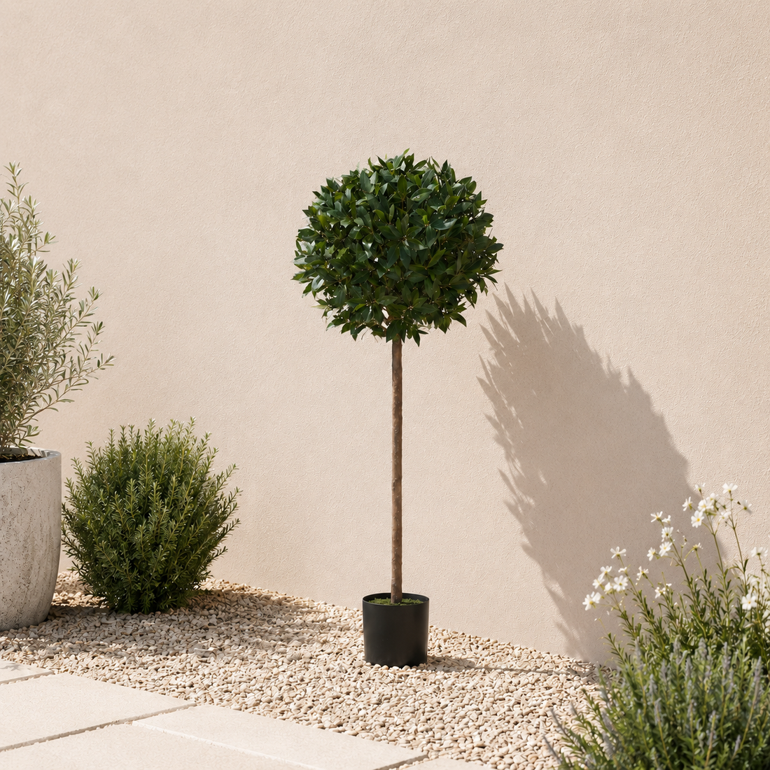 Bay Tree 5ft/154 cm - With Real Wood Trunk, Natural Leaf and Brown Berries - A1058