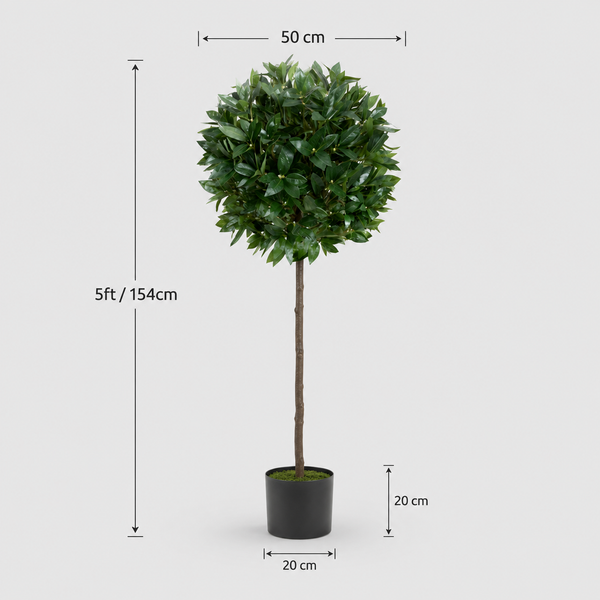 Bay Tree 5ft/154 cm - With Real Wood Trunk, Natural Leaf and Brown Berries - A1058