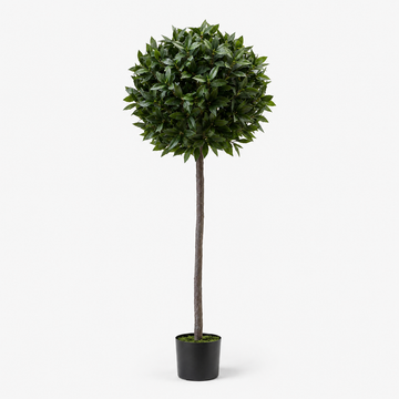 Bay Tree 5ft/154 cm - With Real Wood Trunk, Natural Leaf and Brown Berries - A1058