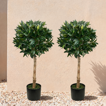 Bay Trees (Set of 2) 3ft/84 cm - With Real Wood Trunk, Natural Leaf and Brown Berries - A1059