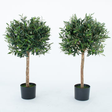 Olive Trees (Set of 2) 90cm/3ft - With A Real Wood Trunk - A1003