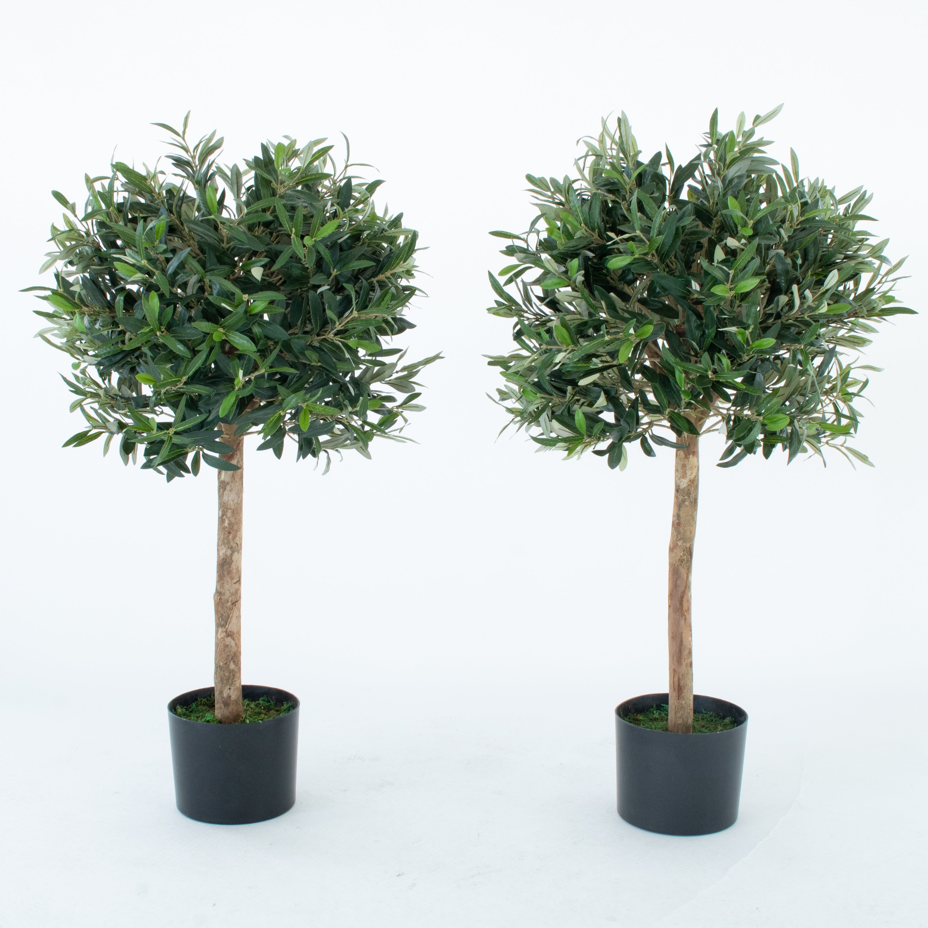 Olive Trees (Set of 2) 90cm/3ft - With A Real Wood Trunk - A1003