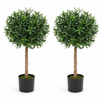 Bay Trees (Set of 2) 3ft/84 cm - With Real Wood Trunk, Natural Leaf and Brown Berries - A1059