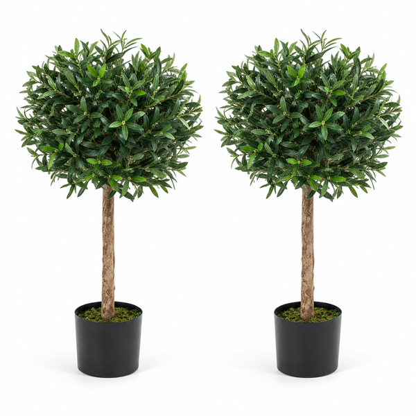 Bay Trees (Set of 2) 3ft/84 cm - With Real Wood Trunk, Natural Leaf and Brown Berries - A1059