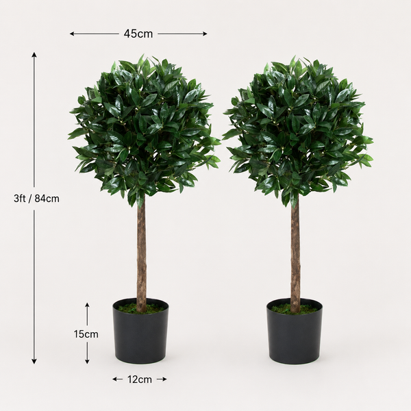 Bay Trees (Set of 2) 3ft/84 cm - With Real Wood Trunk, Natural Leaf and Brown Berries - A1059