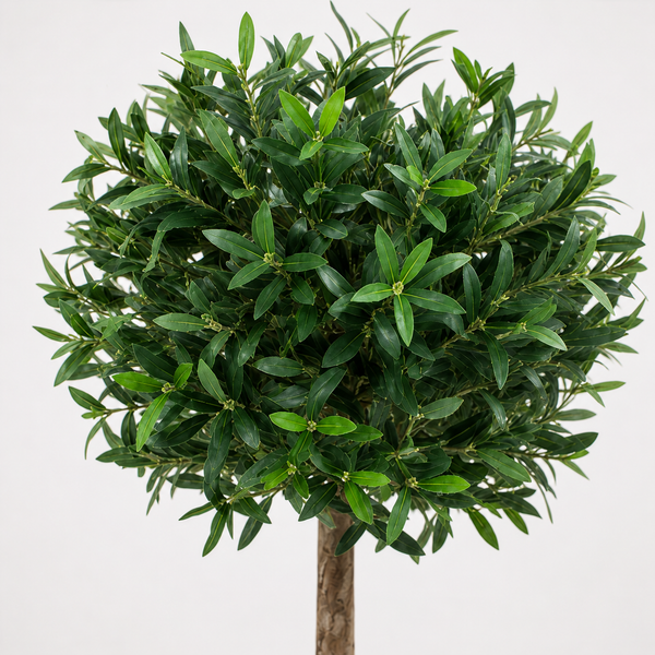 Bay Trees (Set of 2) 3ft/84 cm - With Real Wood Trunk, Natural Leaf and Brown Berries - A1059