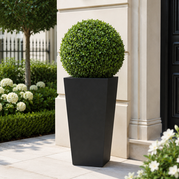 Aglaia Boxwood Ball in Tall Black Tin Planter (95cm/3ft) - A1066
