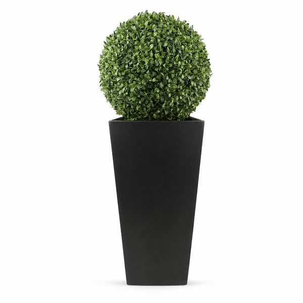 Aglaia Boxwood Ball in Tall Black Tin Planter (95cm/3ft) - A1066