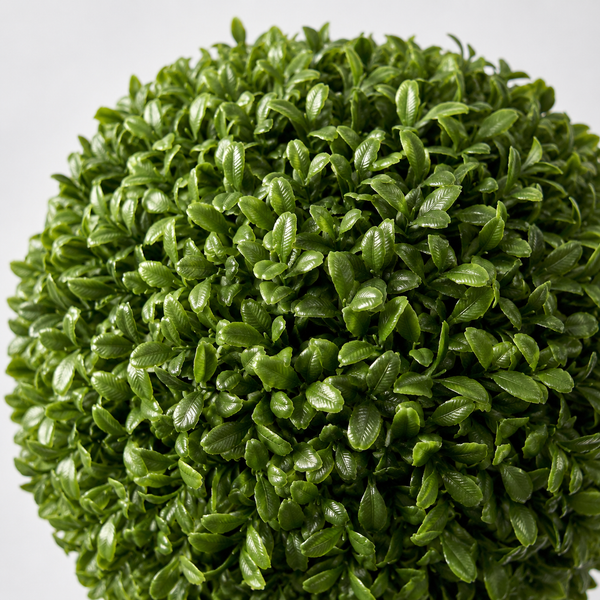 Aglaia Boxwood Ball in Tall Black Tin Planter (95cm/3ft) - A1066