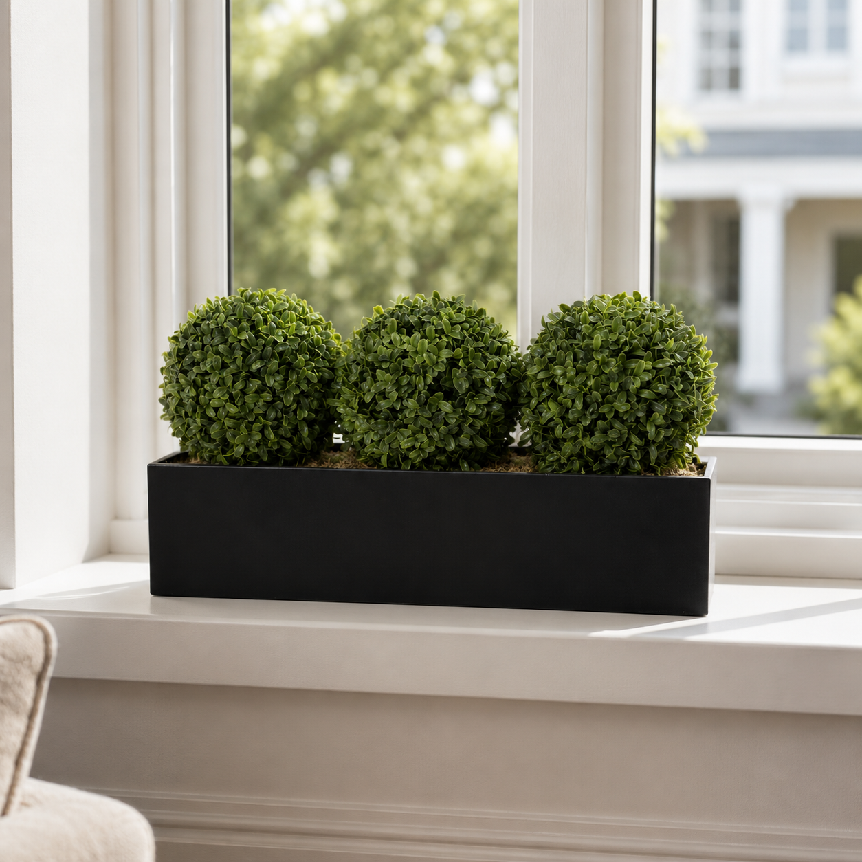 Topiary Triple Ball Aglaia Boxwood in Black Straight Tin Window Box 54cm/21in - A1067