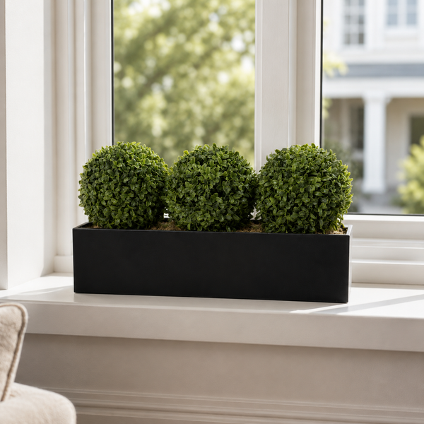 Topiary Triple Ball Aglaia Boxwood in Black Straight Tin Window Box 54cm/21in - A1067