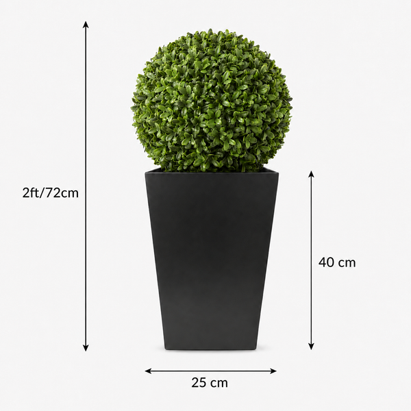 Aglaia Boxwood Ball in Straight Black Tin Planter (72cm/2ft) - A1069