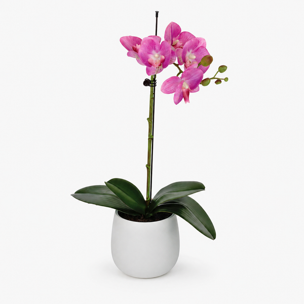 Elegant Real Touch Single Stem Pink Potted Orchid in Round White Ceramic Pot (46cm) - A1072