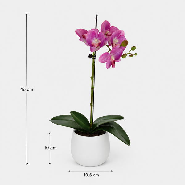 Elegant Real Touch Single Stem Pink Potted Orchid in Round White Ceramic Pot (46cm) - A1072