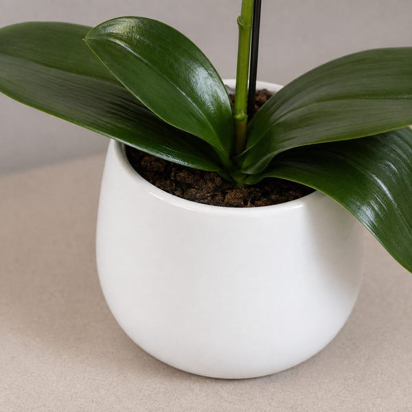 Elegant Real Touch Single Stem Pink Potted Orchid in Round White Ceramic Pot (46cm) - A1072