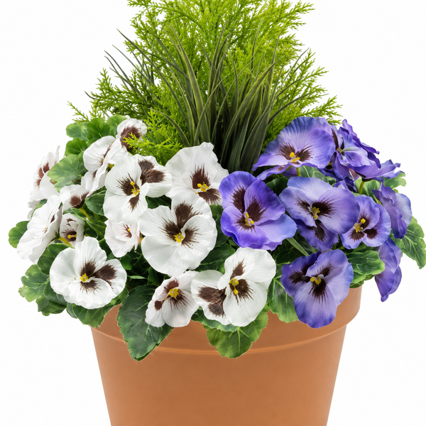 Purple & White Pansy Terracotta Patio Planter 60cm/24in - A1076