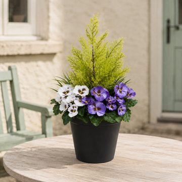 Purple & White Pansy Black Patio Planter 60cm/24in - A1078