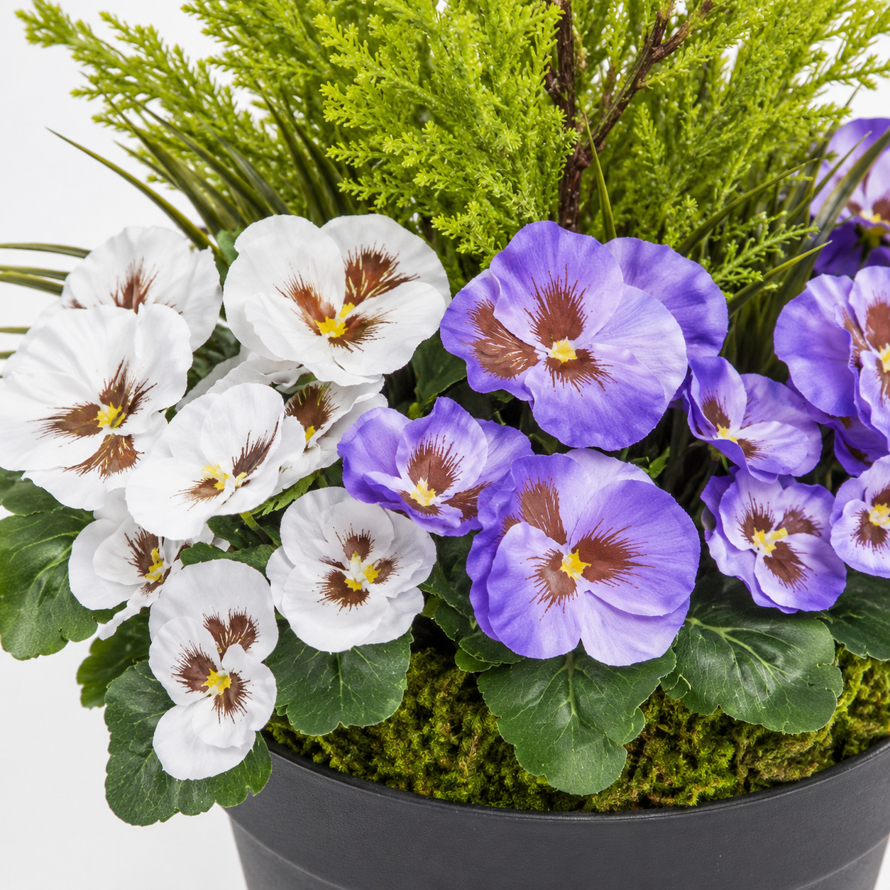 Purple & White Pansy Black Patio Planter 60cm/24in - A1078