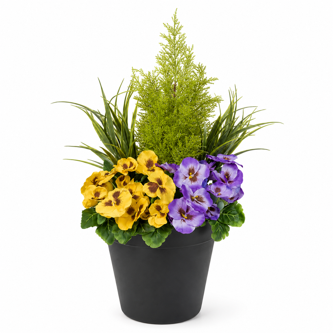 Purple & Yellow Pansy Black Patio Planter 60cm/24in - A1080