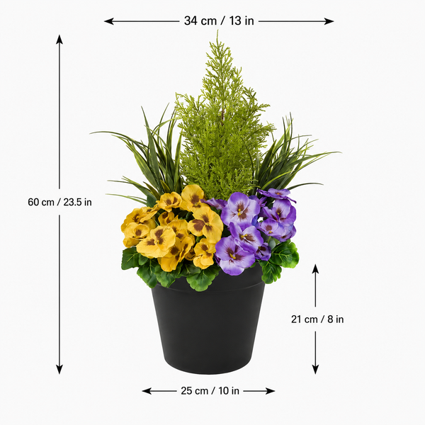 Purple & Yellow Pansy Black Patio Planter 60cm/24in - A1080