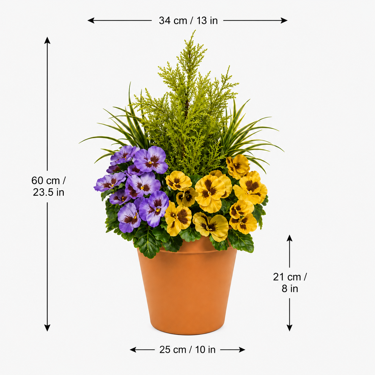 Purple & Yellow Pansy Terracotta Patio Planter 60cm/24in - A1081