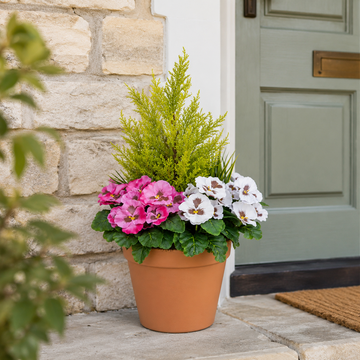 Pink & White Pansy Terracotta Patio Planter 60cm/24in - A1082