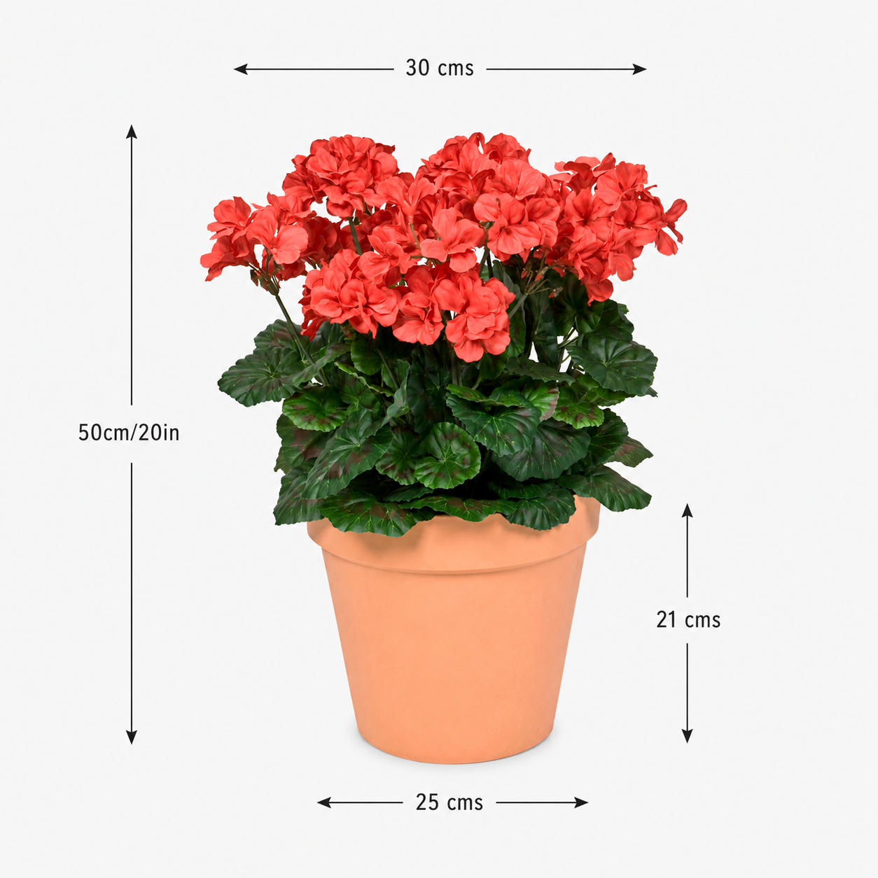 Red Geranium Terracotta Patio Planter 50cm/20in - A1083