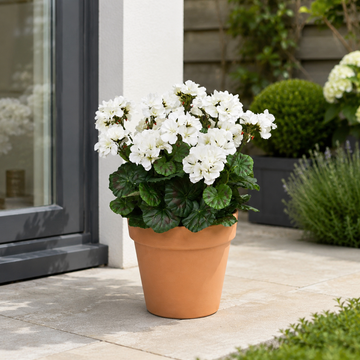 White Geranium Terracotta Patio Planter 50cm/20in - A1084