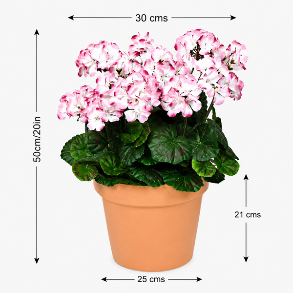 Pink & White Geranium Terracotta Patio Planter 50cm/20in - A1085