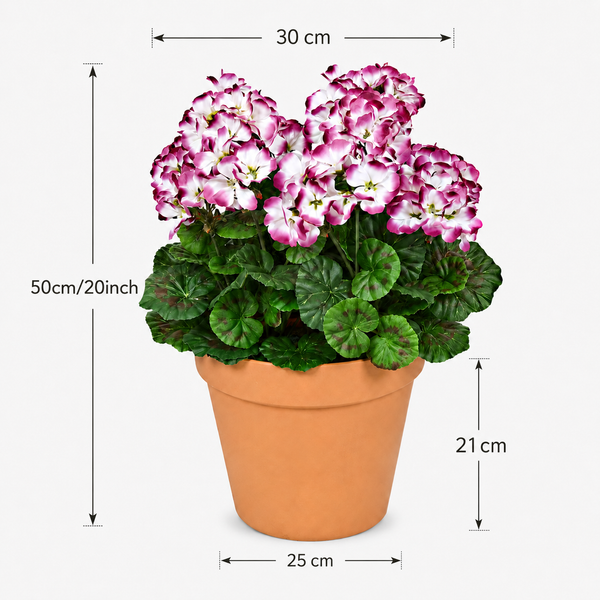 Purple & White Geranium Terracotta Patio Planter 50cm/20in - A1086