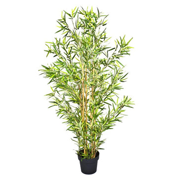 Large Bamboo Tree in Black Pot 150cm/5ft - A1126