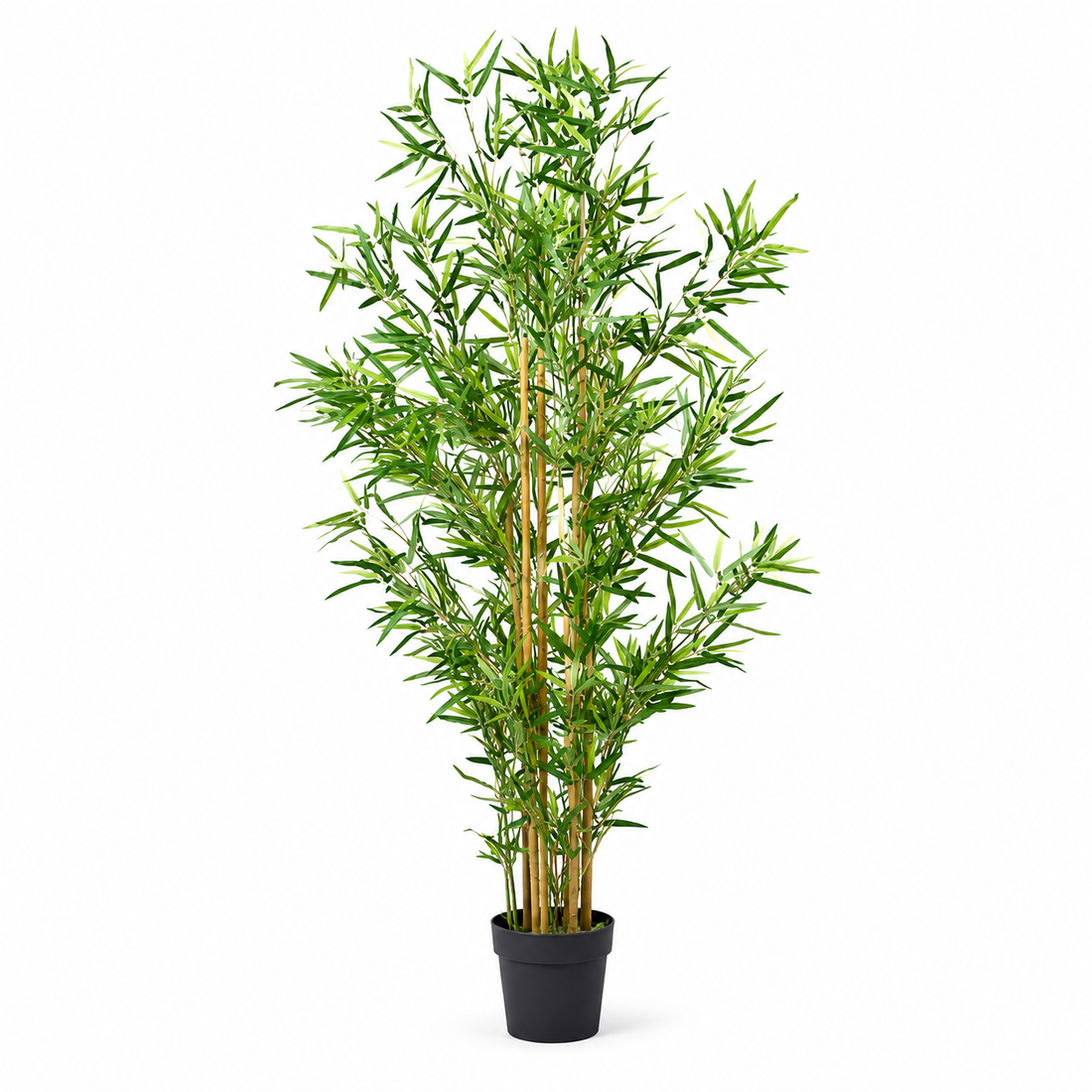Large Bamboo Tree in Black Pot 150cm/5ft - A1126