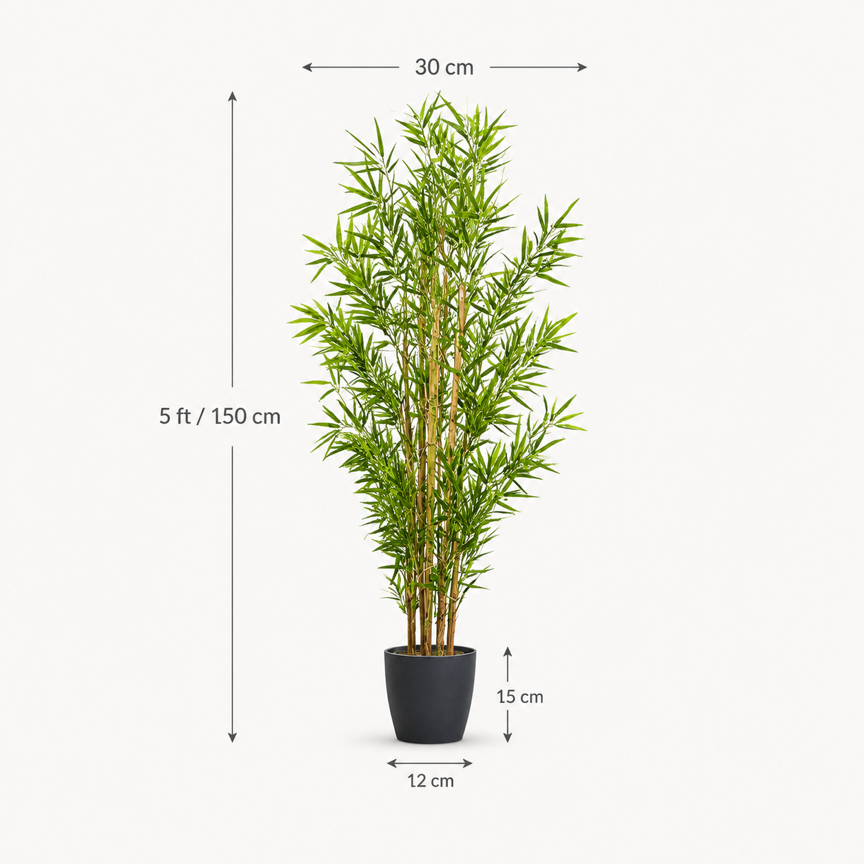 Large Bamboo Tree in Black Pot 150cm/5ft - A1126