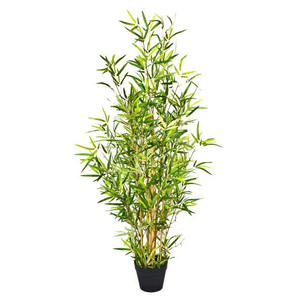 Bamboo Tree in Black Pot 130cm/4ft - A1127