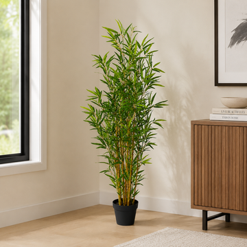 Bamboo Tree in Black Pot 130cm/4ft - A1127