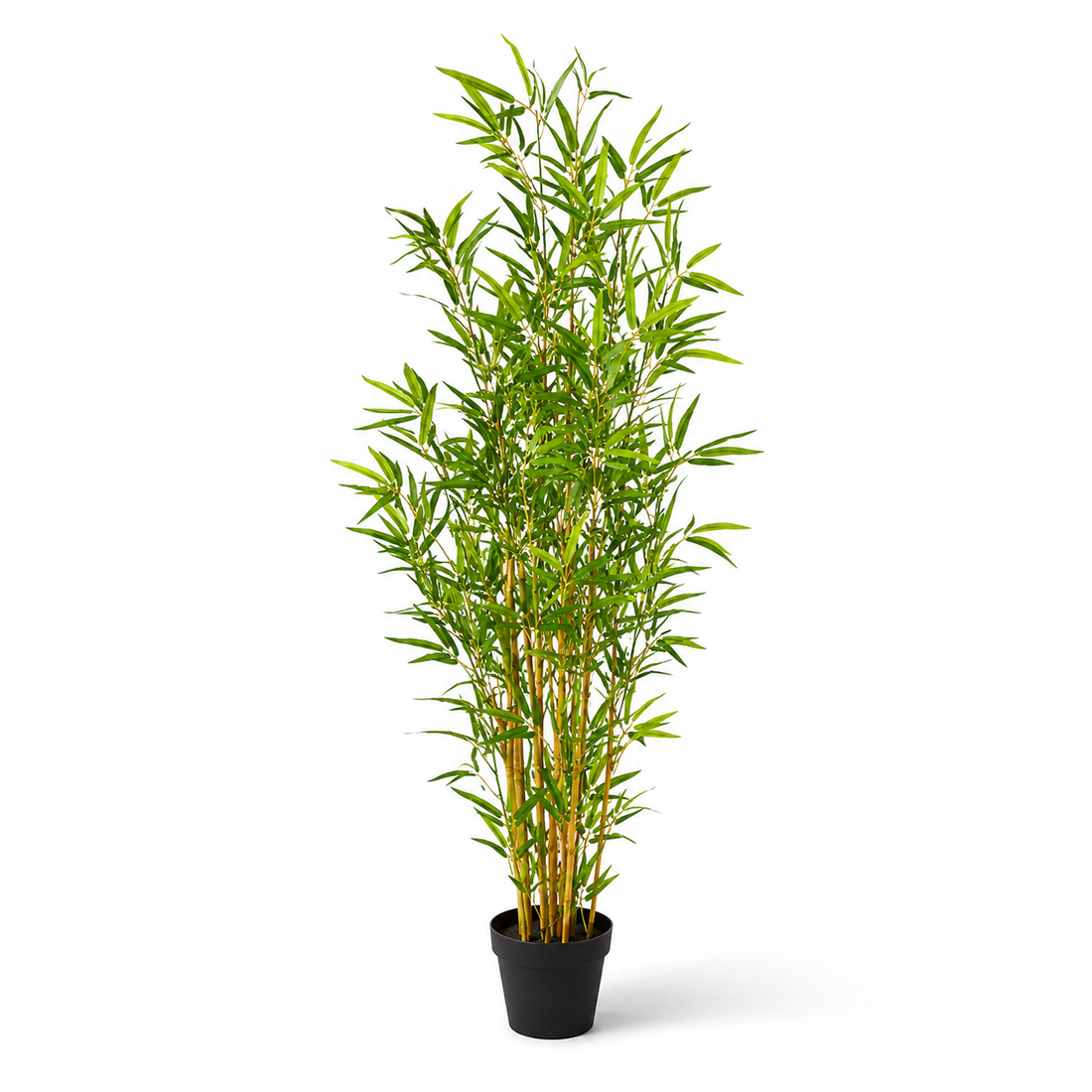 Bamboo Tree in Black Pot 130cm/4ft - A1127