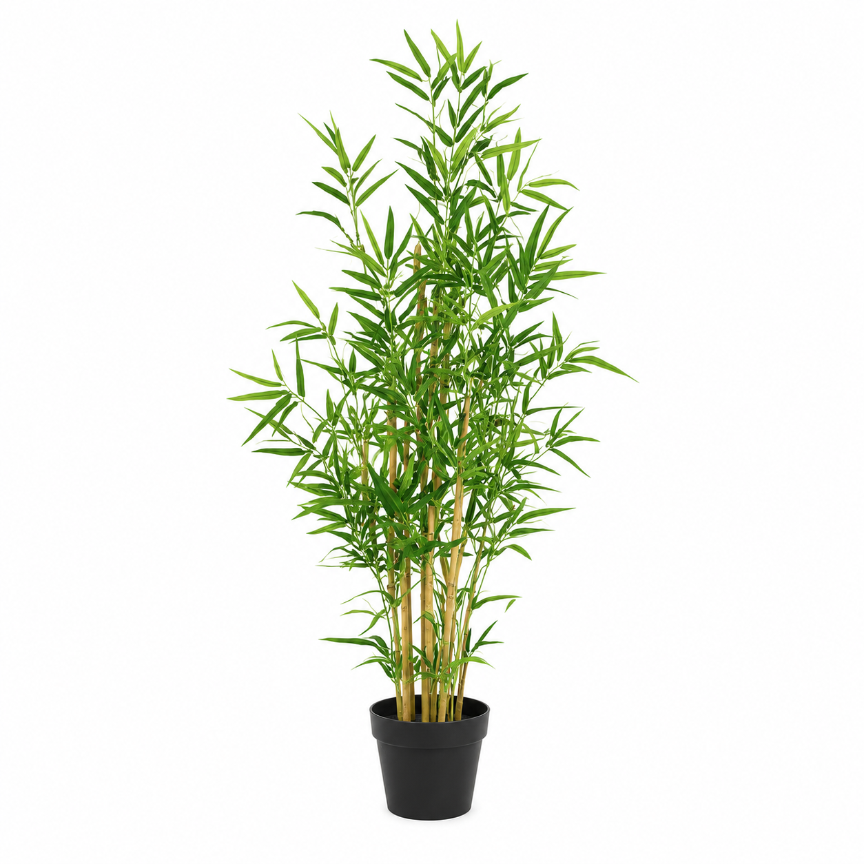 Bamboo Trees (Set of 2) 140cm/4ft - A1128