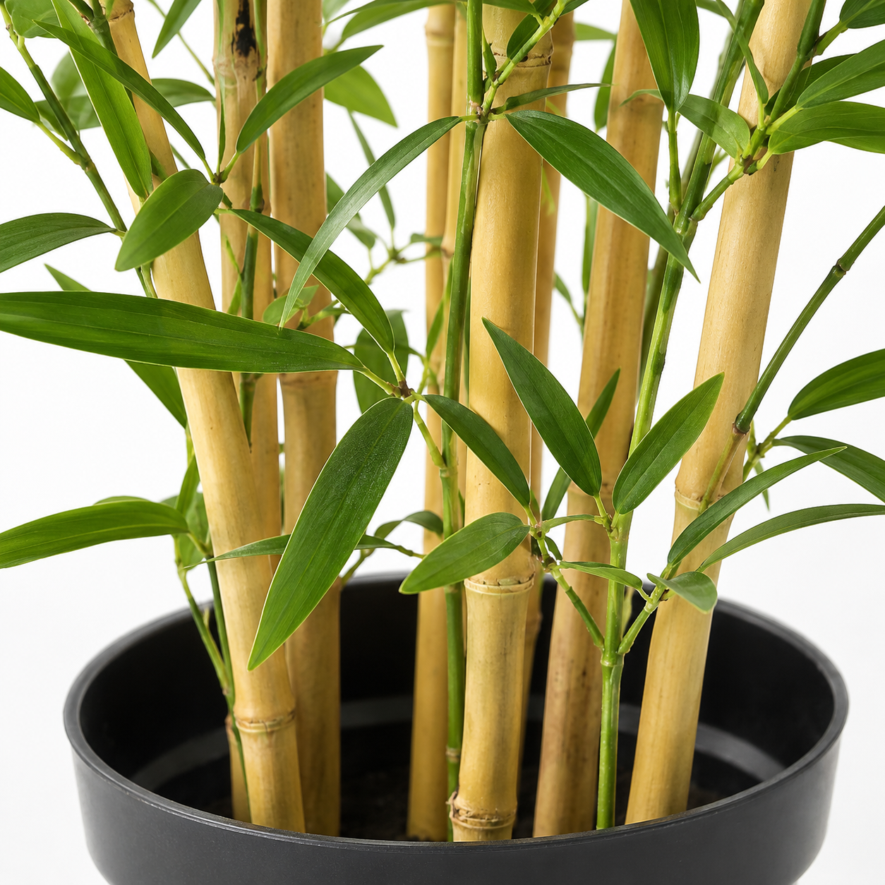 Bamboo Trees (Set of 2) 140cm/4ft - A1128
