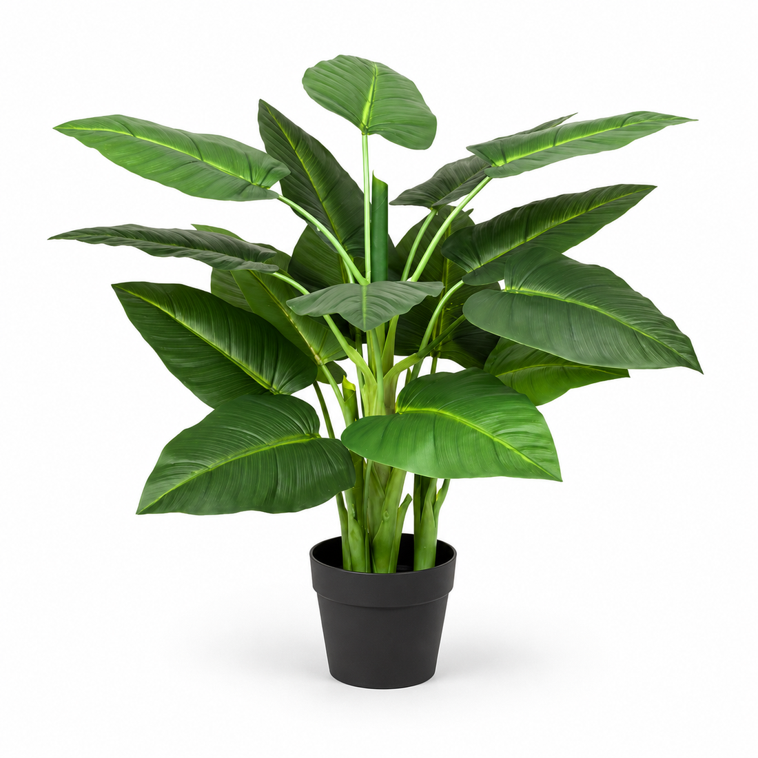 Calla Lily Tree in Black Pot 90cm/3ft - A1129